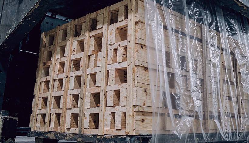 Demand Trends in 2026 — Container-Load Less Cargo Consolidation — Less Container Load Vape Cargo Consolidation Bulk