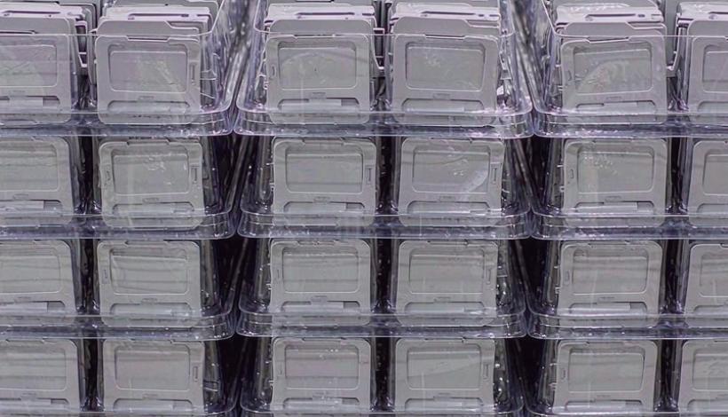 Reorder Cycles for Importers — Premium-Grade Less Cargo Consolidation — Less Container Load Vape Cargo Consolidation Bulk